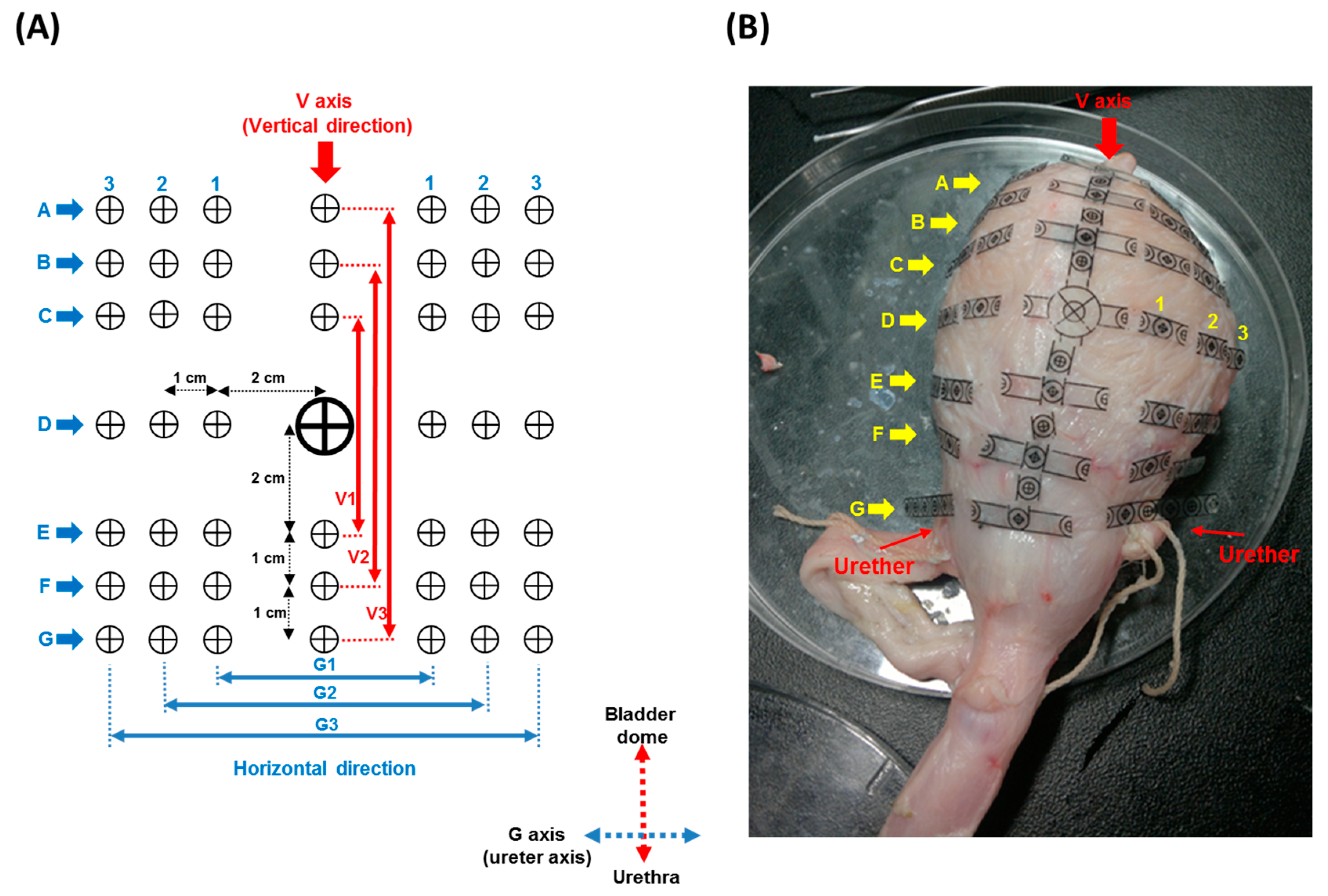 Sensors 15 12802 g003