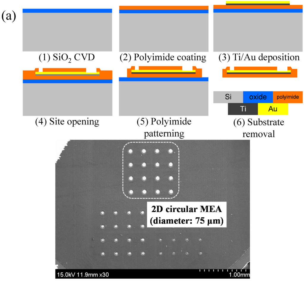 Sensors 15 14345 g001a 1024
