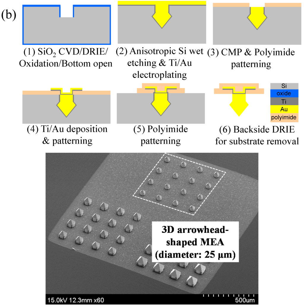 Sensors 15 14345 g001b 1024
