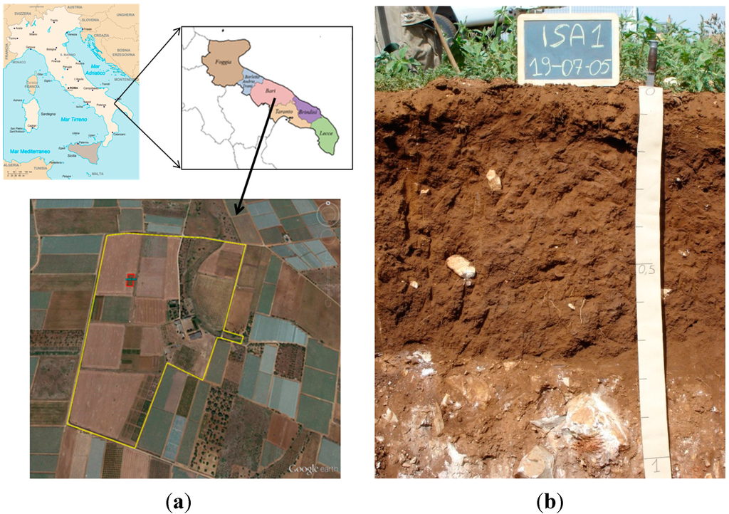 Sensors 15 16430 g001 1024