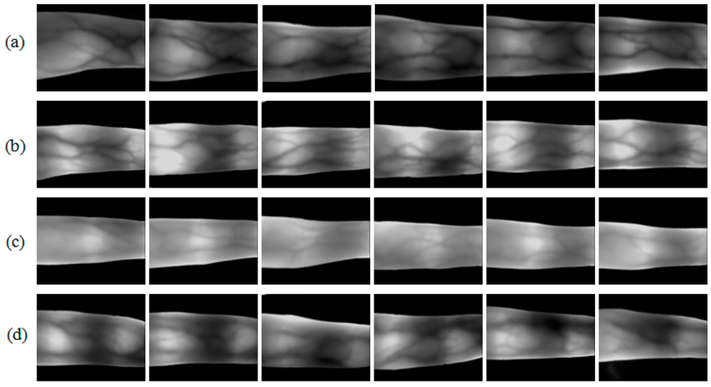 Sensors 15 17089 g002 1024