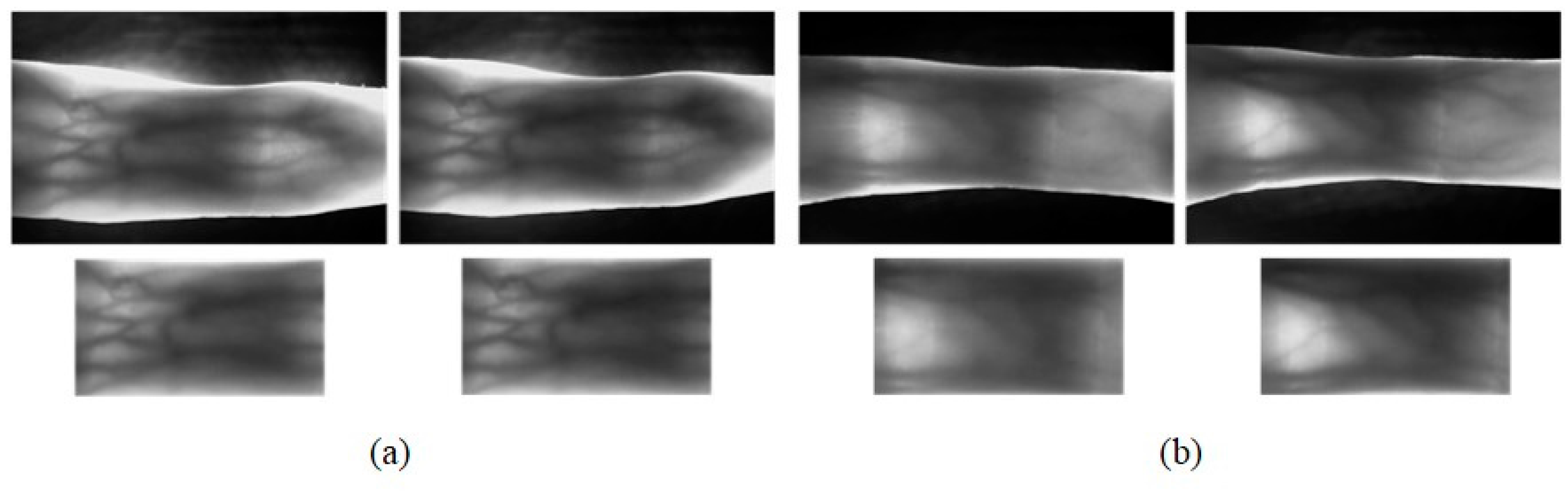 Sensors 15 17089 g008