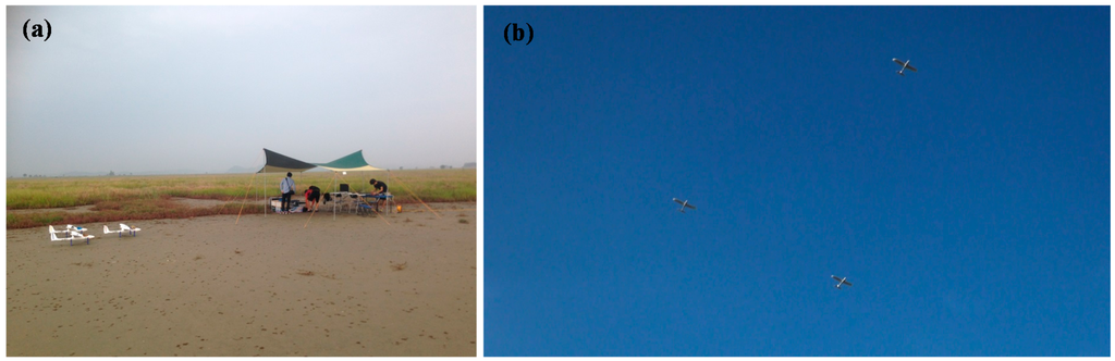 Sensors 15 17397 g019 1024