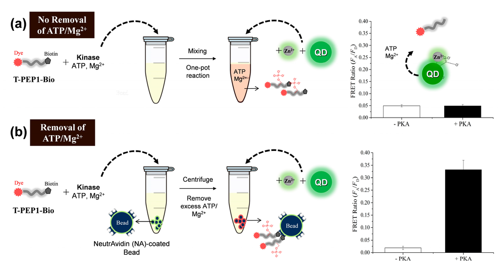Sensors 15 17977 g008 1024