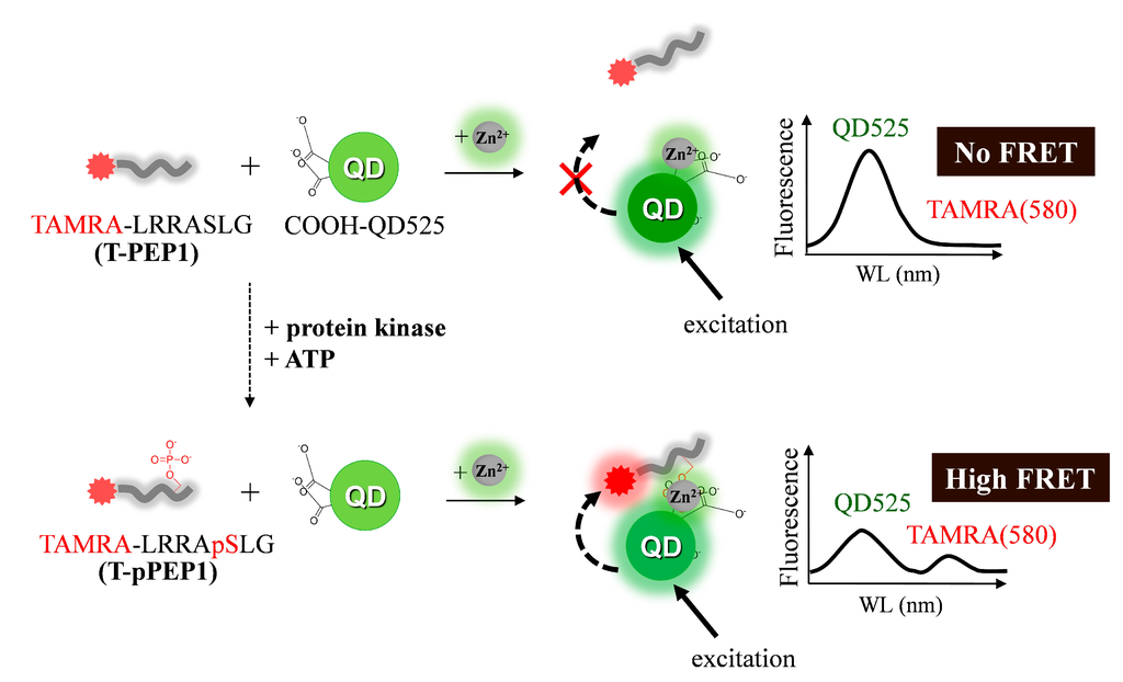 Sensors 15 17977 g009 1024