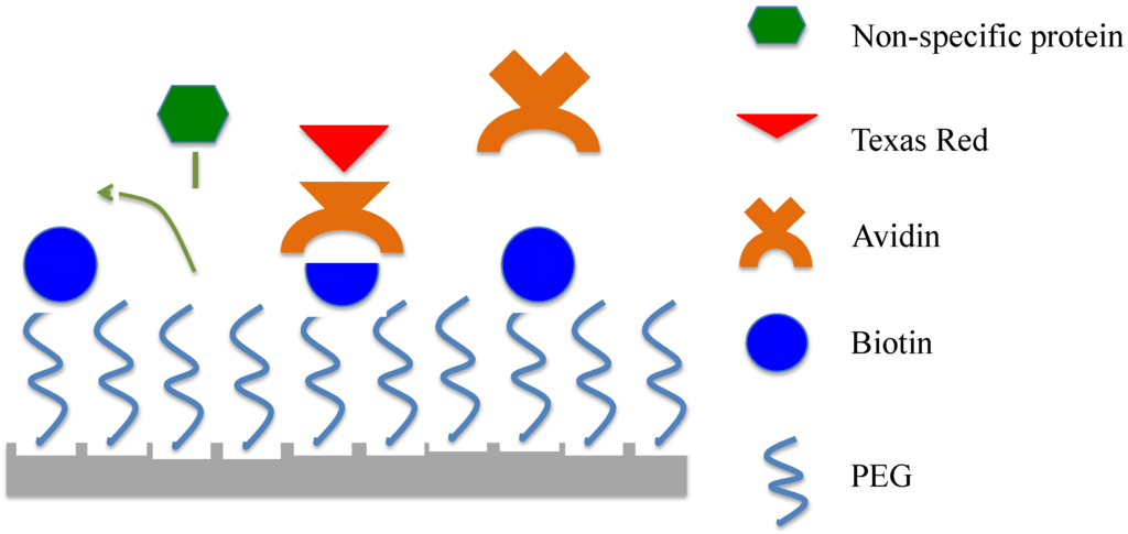 Sensors 15 18040 g002 1024