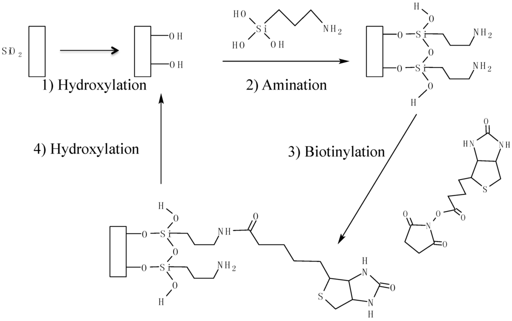 Sensors 15 18040 g005 1024