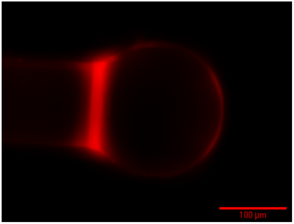 Sensors 15 18040 g011 1024