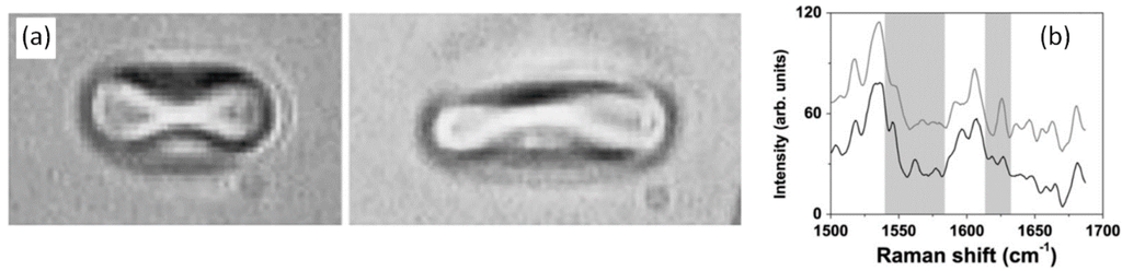 Sensors 15 19021 g009 1024