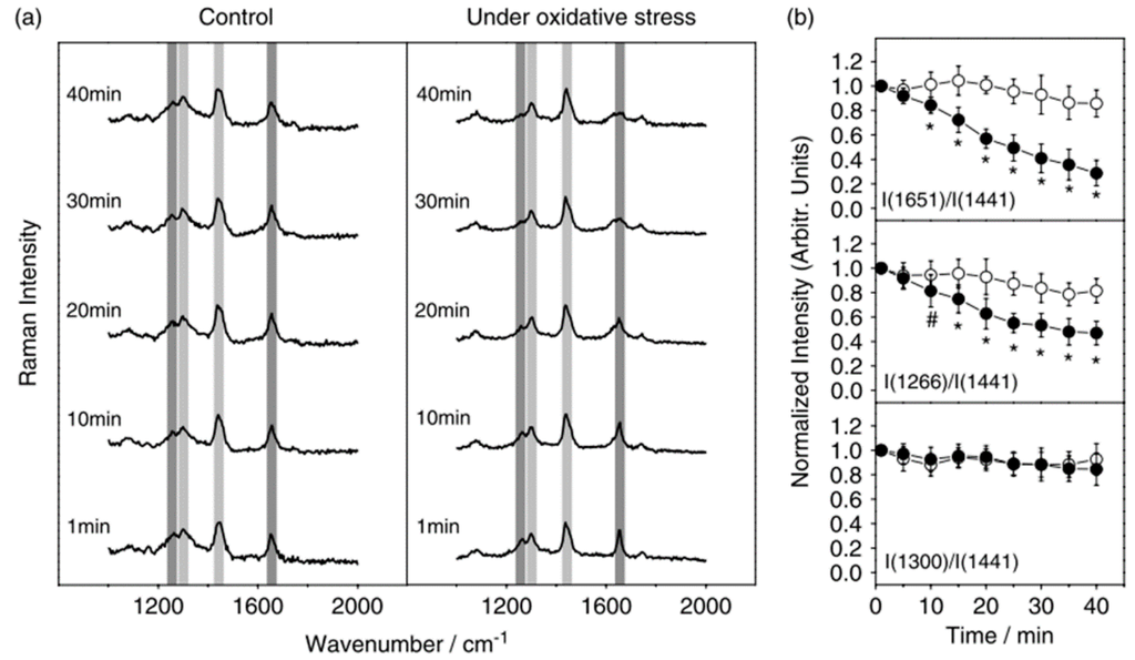 Sensors 15 19021 g012 1024