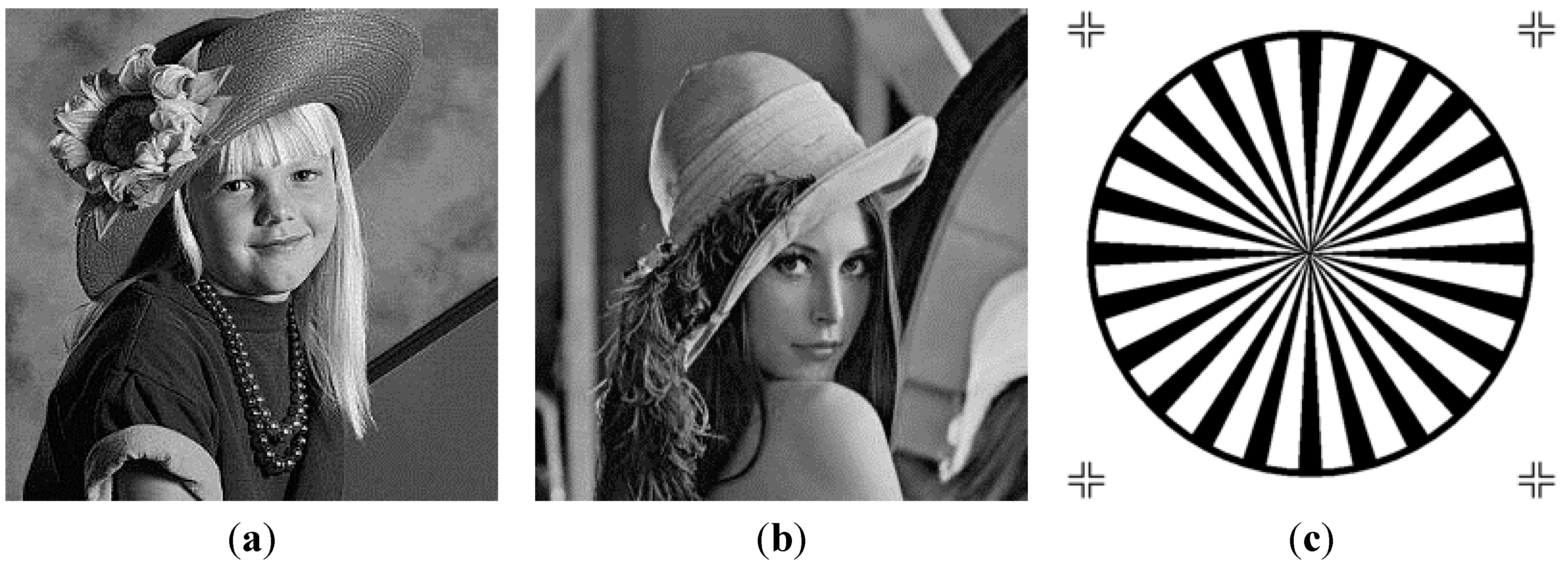 Sensors 15 19199 g004