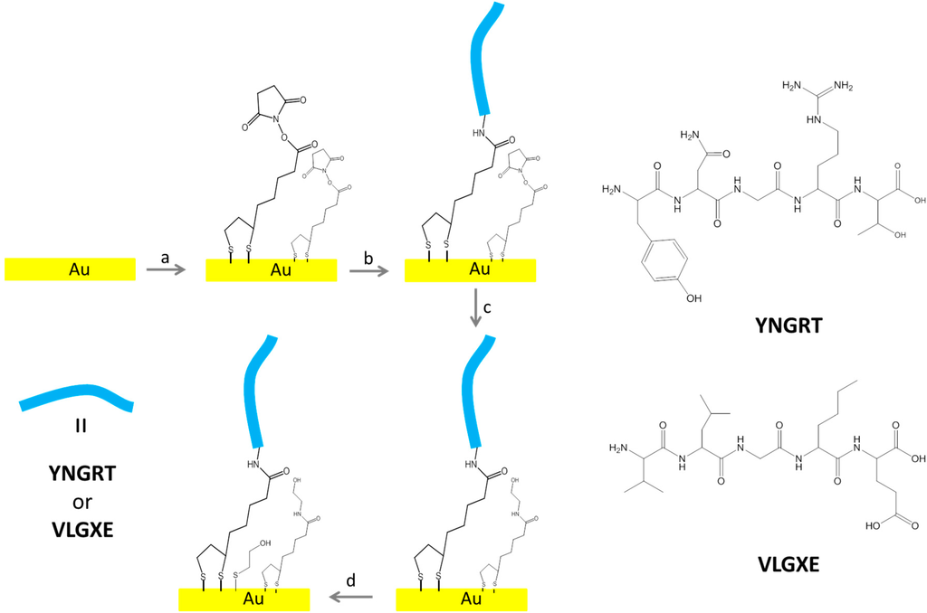 Sensors 15 19429 g001 1024