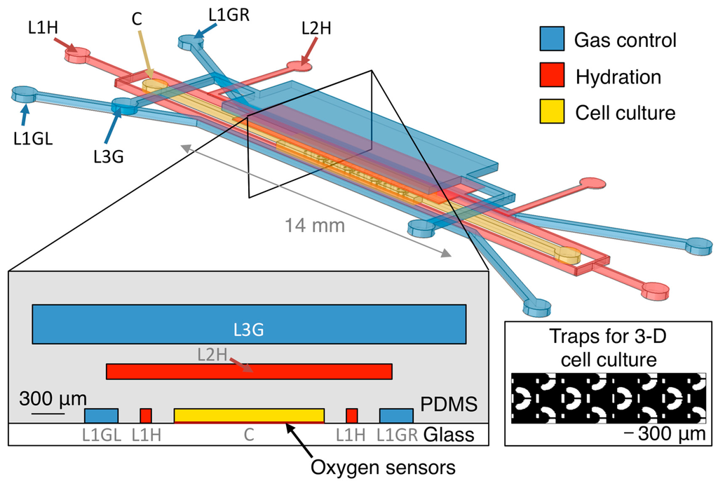 Sensors 15 20030 g001 1024