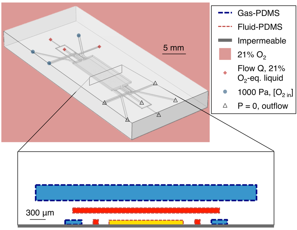 Sensors 15 20030 g002 1024