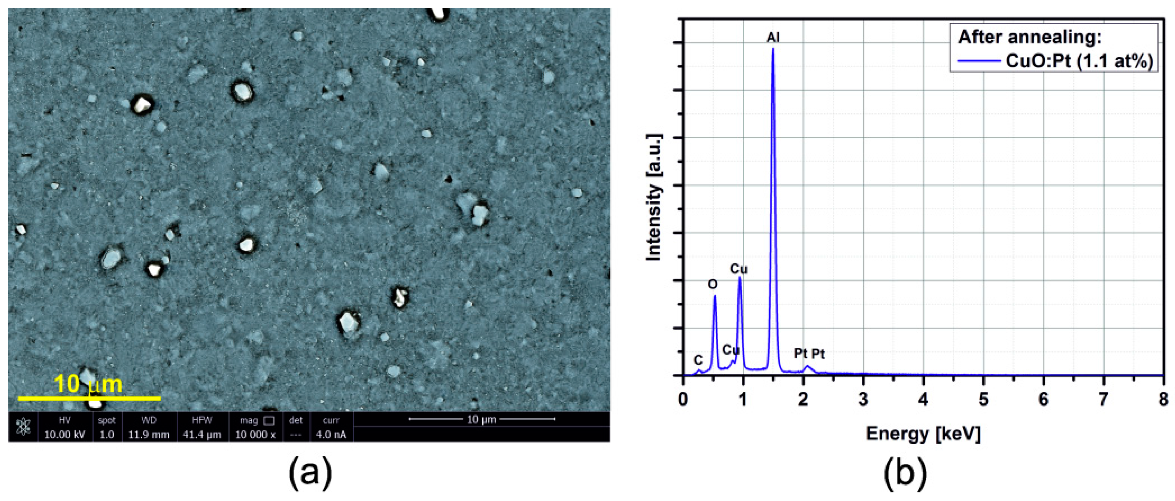 Sensors 15 20069 g009
