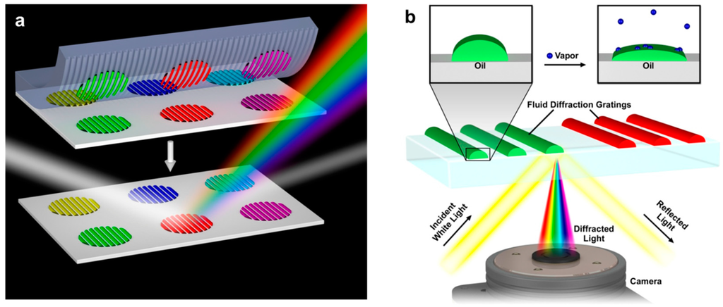 Sensors 15 20863 g001 1024