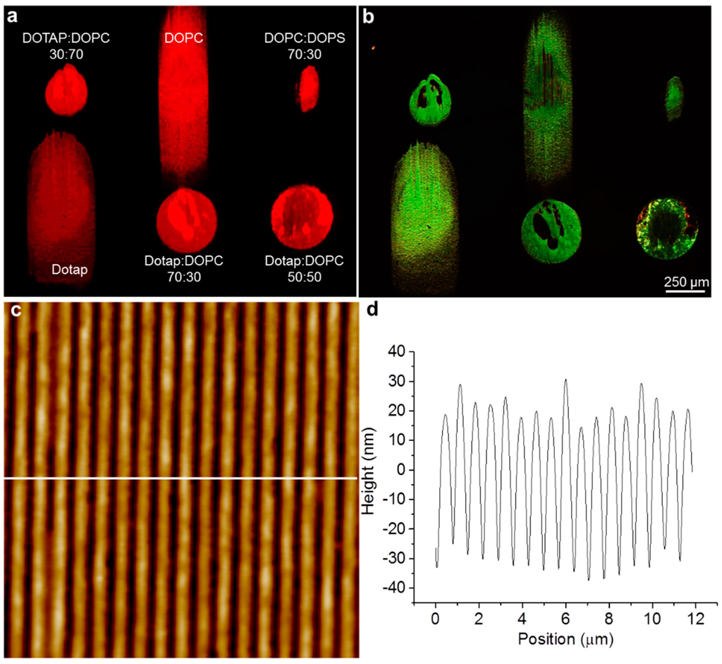 Sensors 15 20863 g002 1024