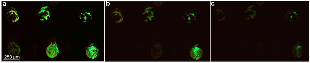 Sensors 15 20863 g003 1024