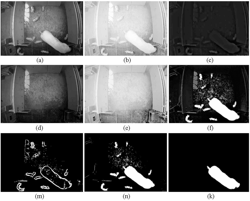 Sensors 15 21407 g006 1024