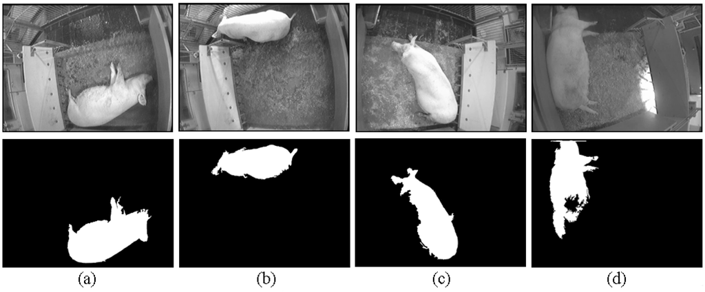 Sensors 15 21407 g007 1024
