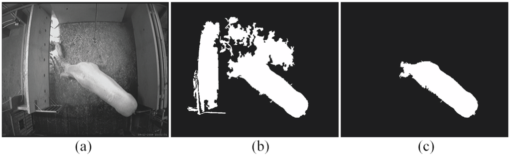 Sensors 15 21407 g008 1024