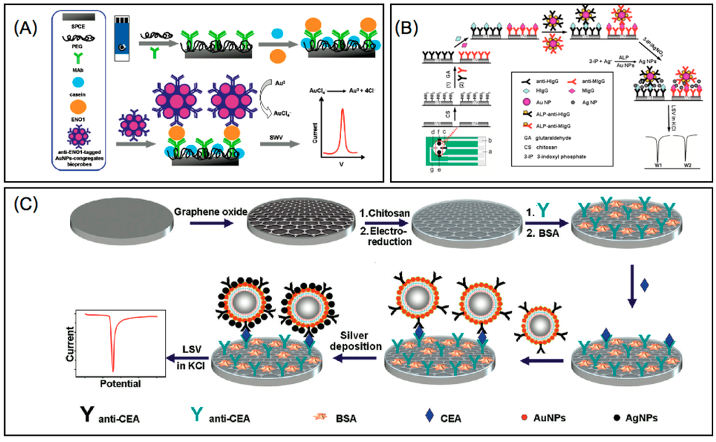 Sensors 15 21427 g001 1024
