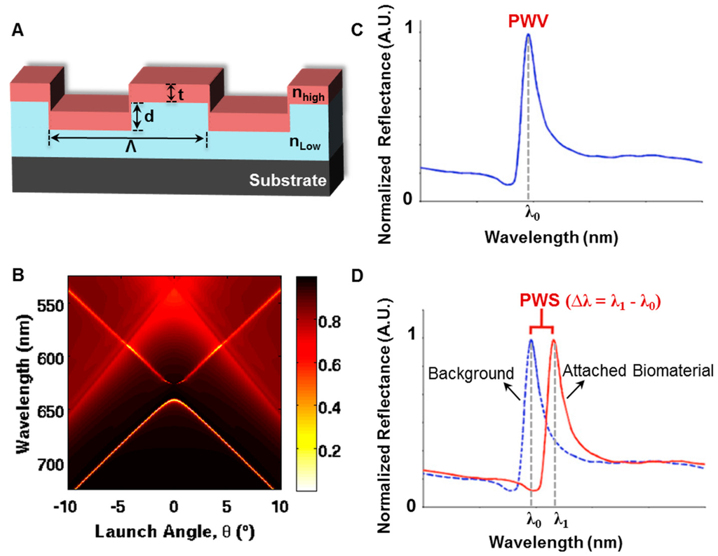 Sensors 15 21613 g001 1024