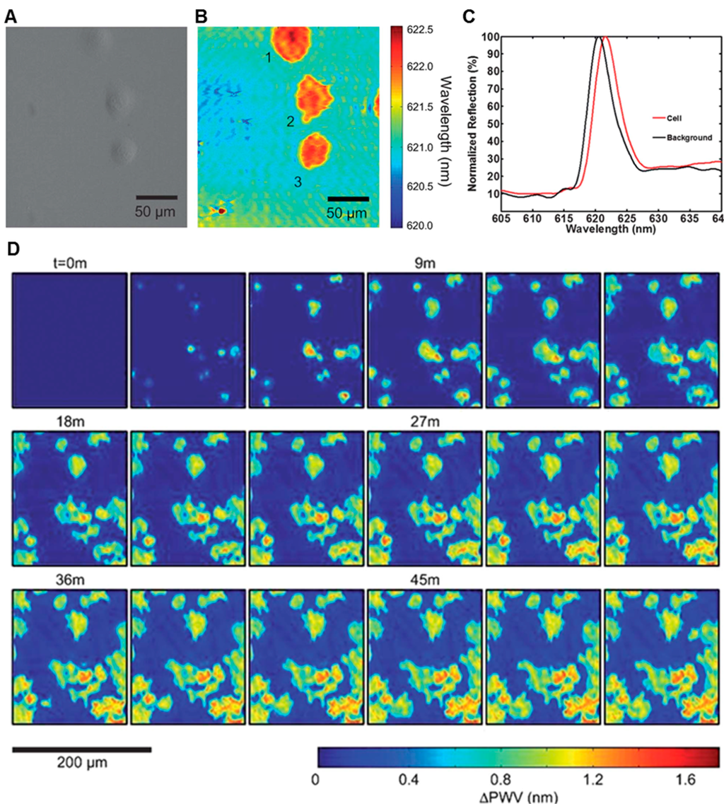 Sensors 15 21613 g005 1024