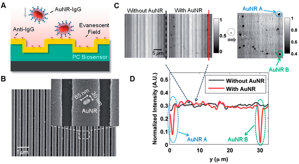 Sensors 15 21613 g006 1024