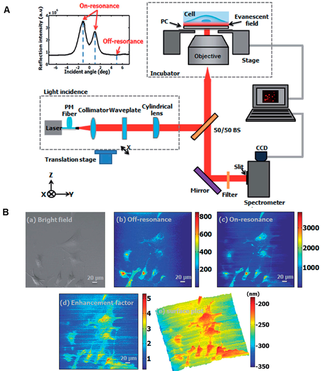 Sensors 15 21613 g007 1024