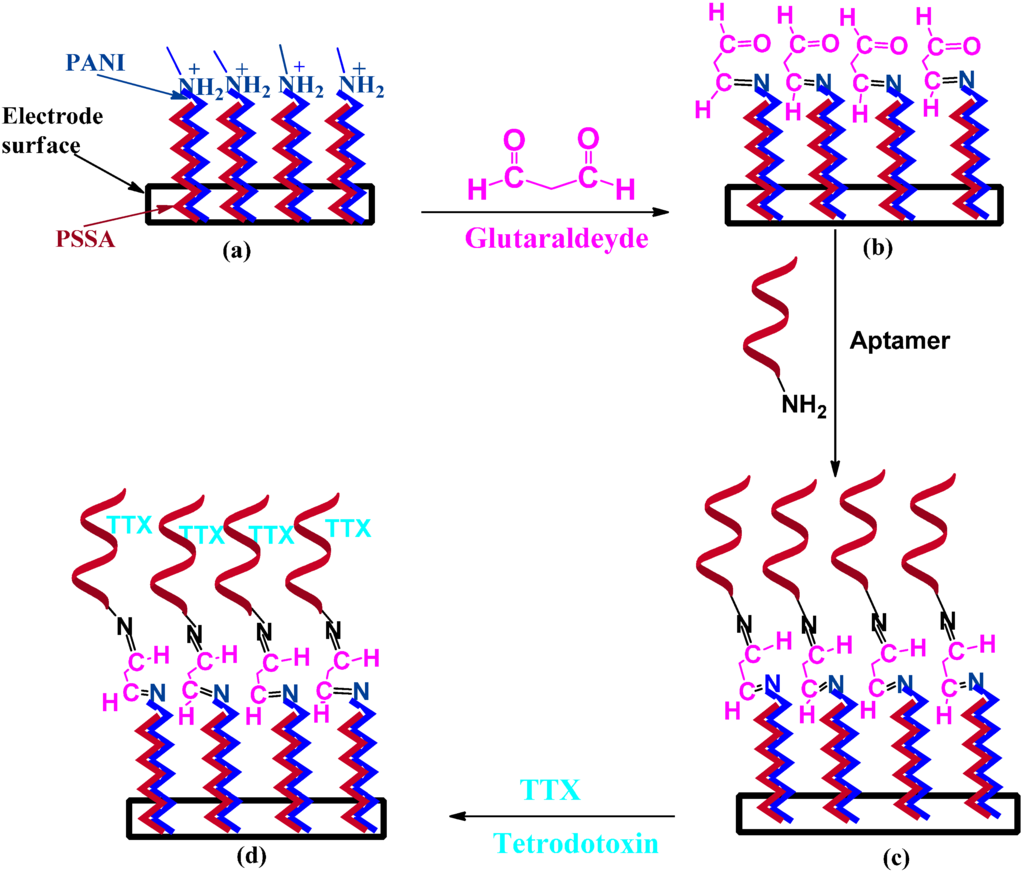 Sensors 15 22547 g001 1024