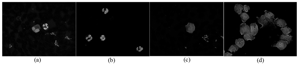 Sensors 15 22561 g006 1024