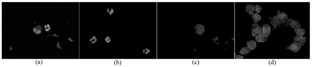 Sensors 15 22561 g008 1024