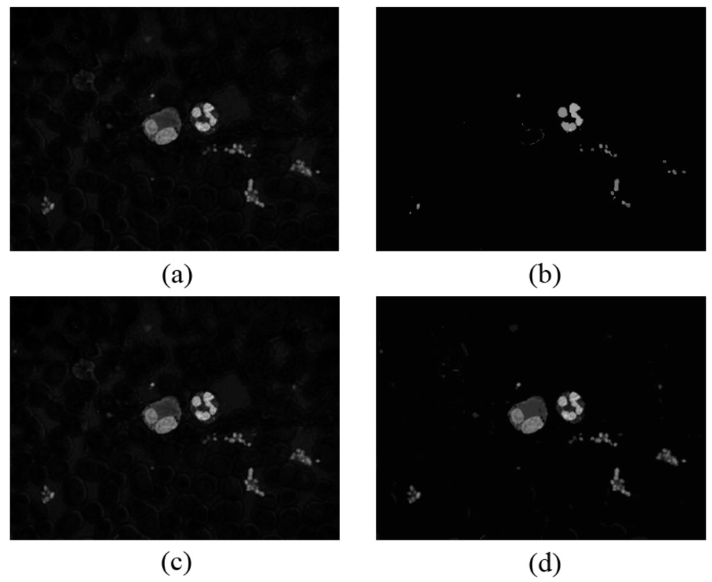 Sensors 15 22561 g009 1024