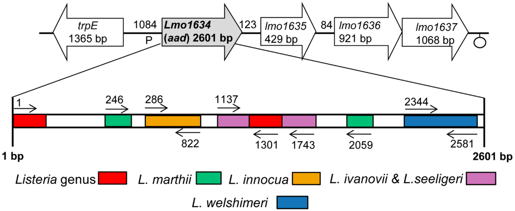 Sensors 15 22672 g001 1024
