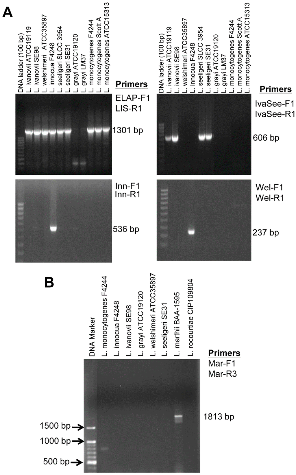 Sensors 15 22672 g002 1024