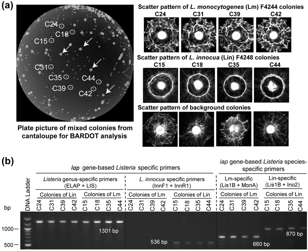 Sensors 15 22672 g006 1024