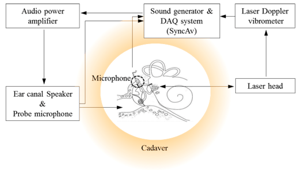 Sensors 15 22798 g003 1024