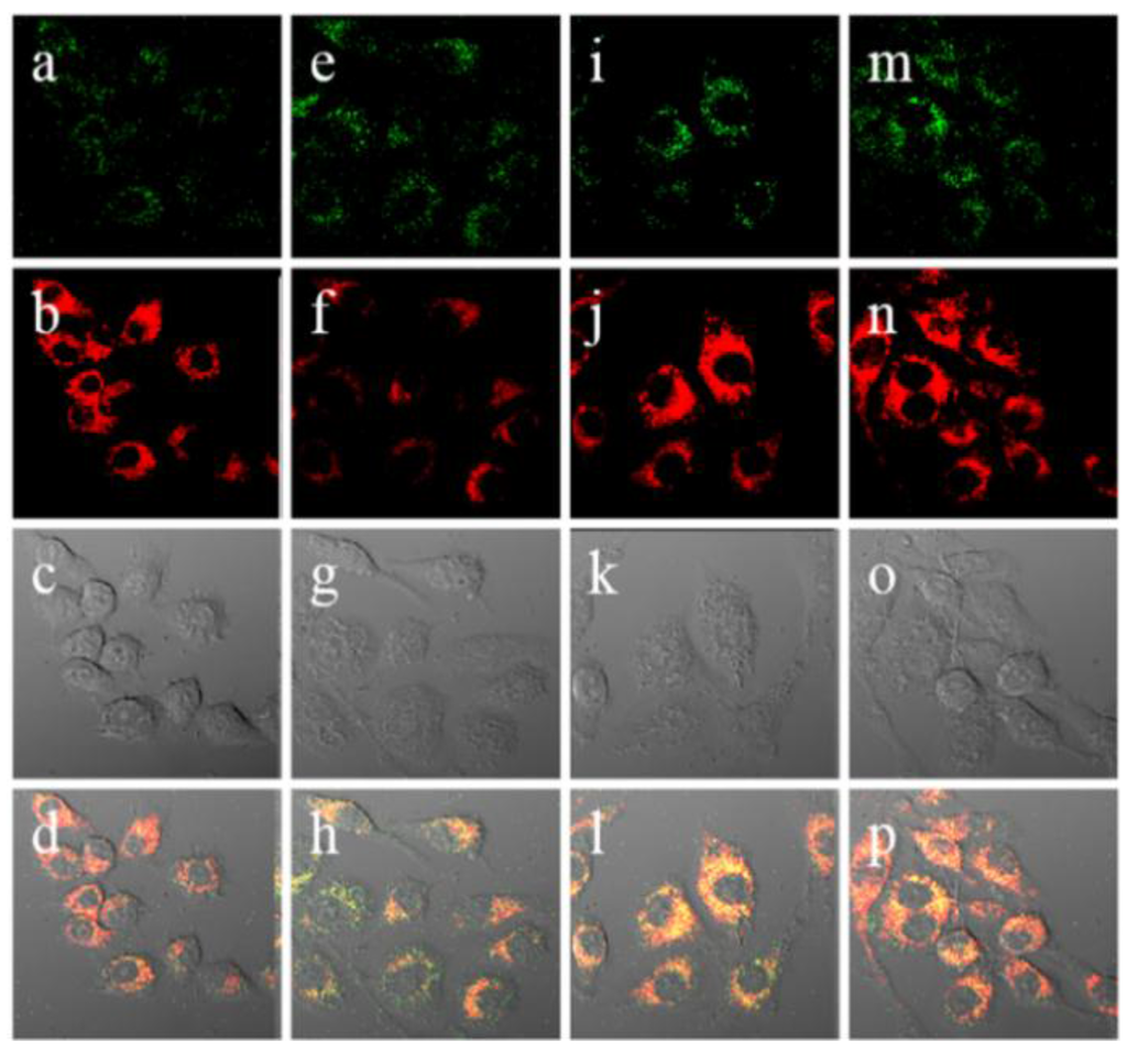 Sensors 15 24374 g013 1024