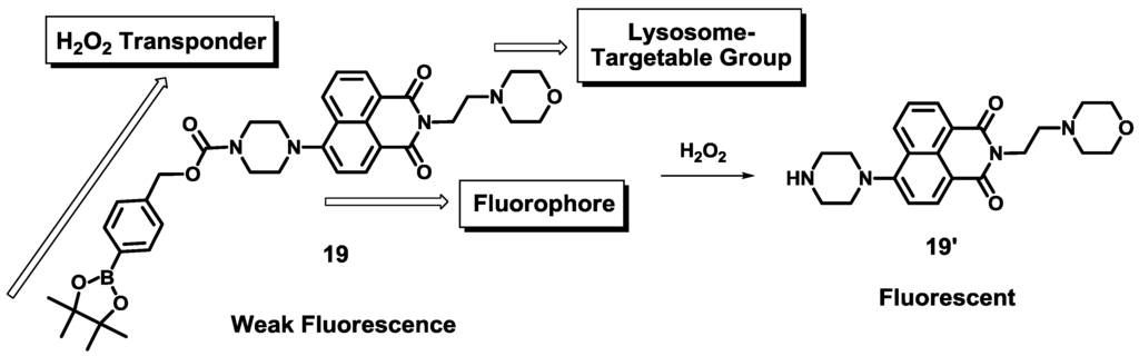 Sensors 15 24374 g014 1024