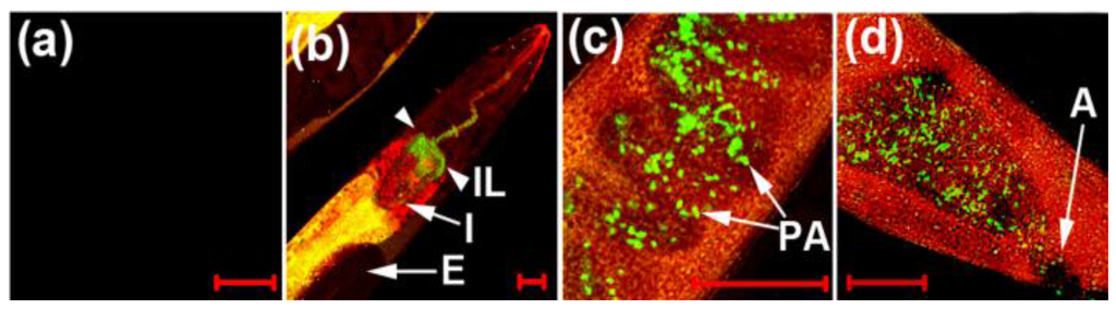 Sensors 15 24374 g028 1024