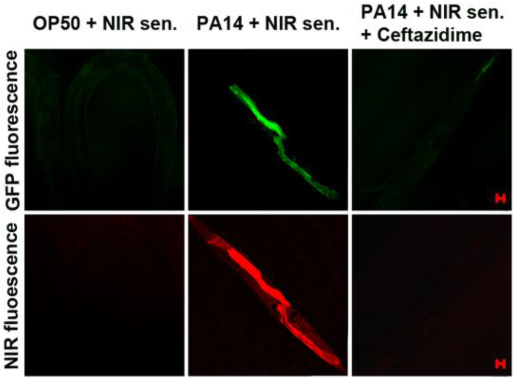Sensors 15 24374 g029 1024