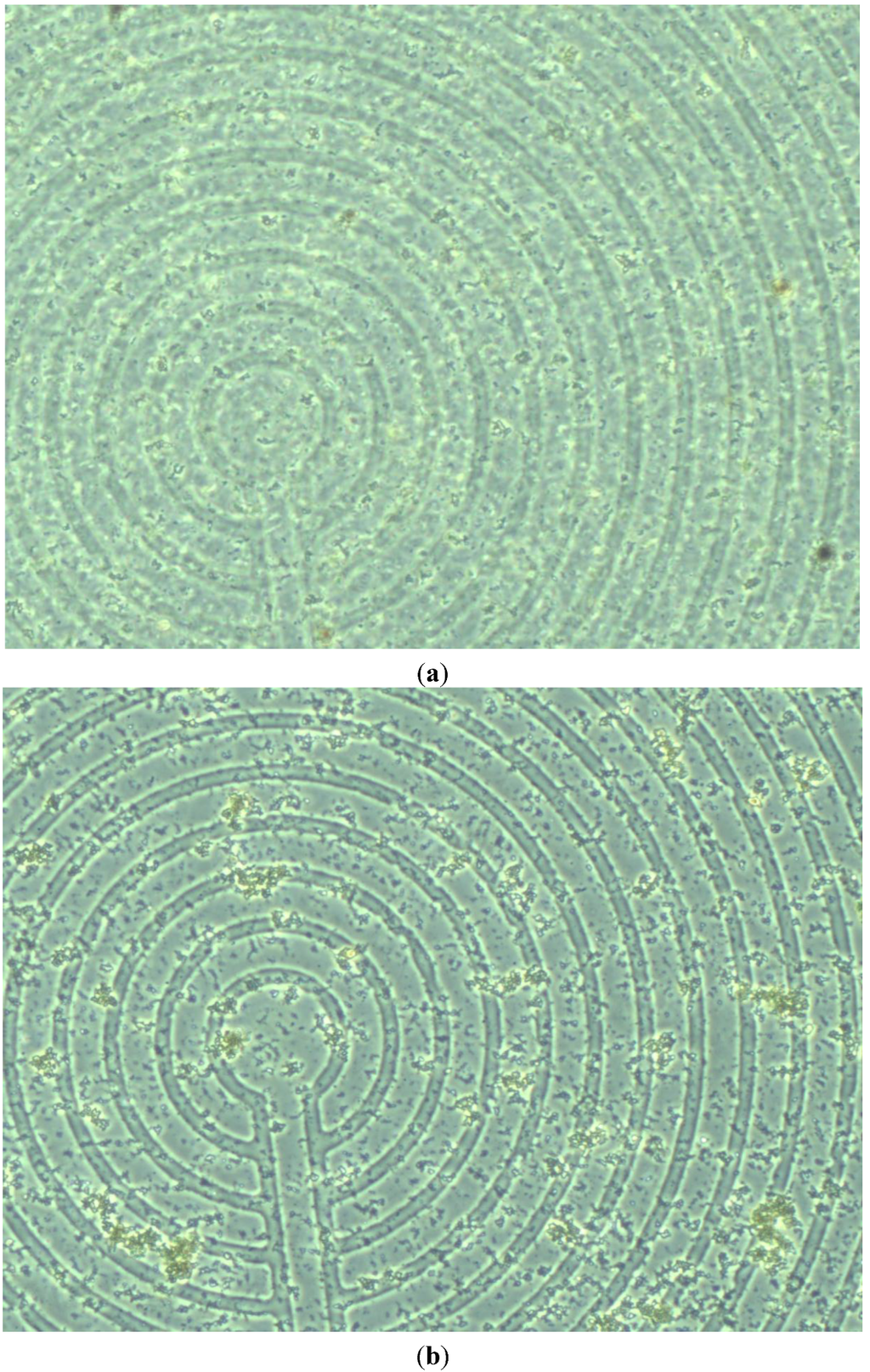 Sensors 15 24409 g010a 1024