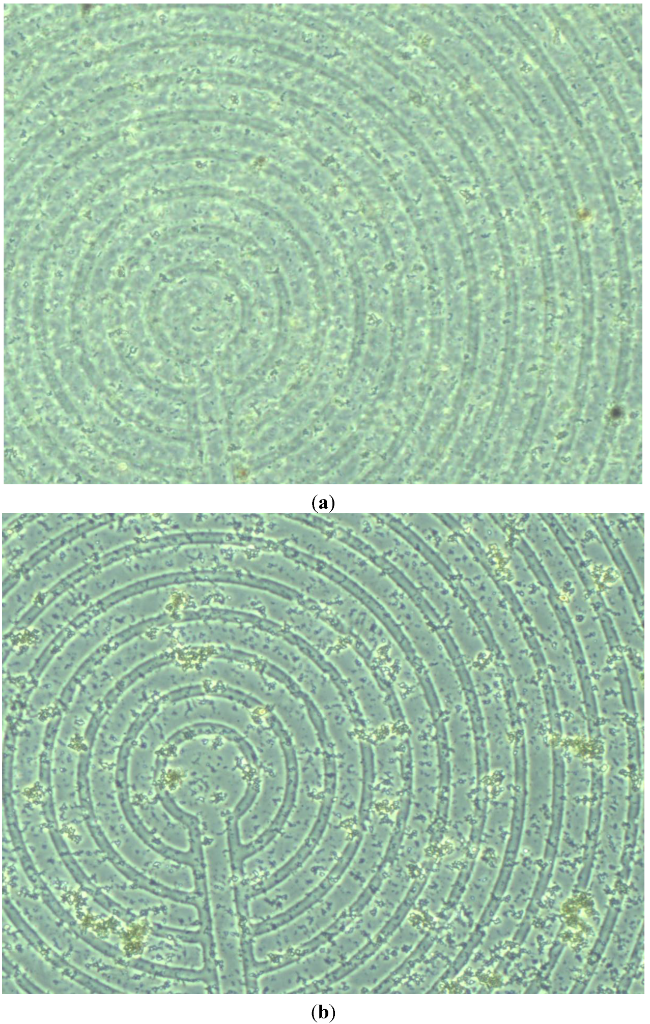 Sensors 15 24409 g010a