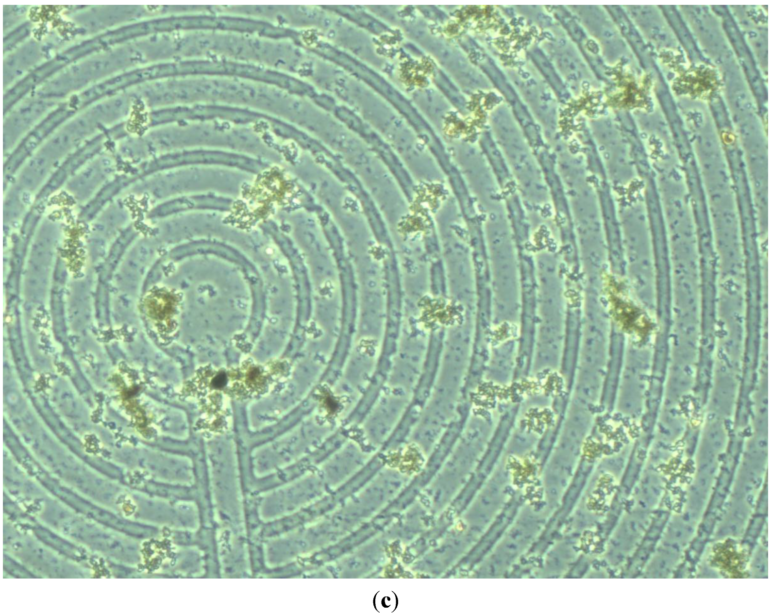 Sensors 15 24409 g010b