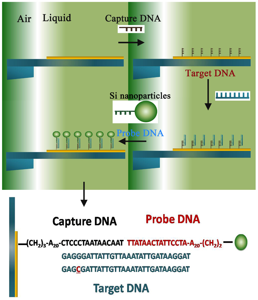 Sensors 15 24848 g003 1024