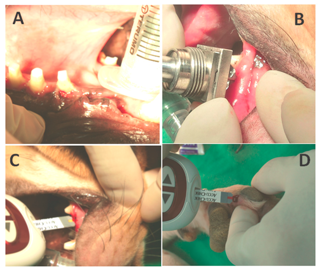 Sensors 15 24961 g005 1024