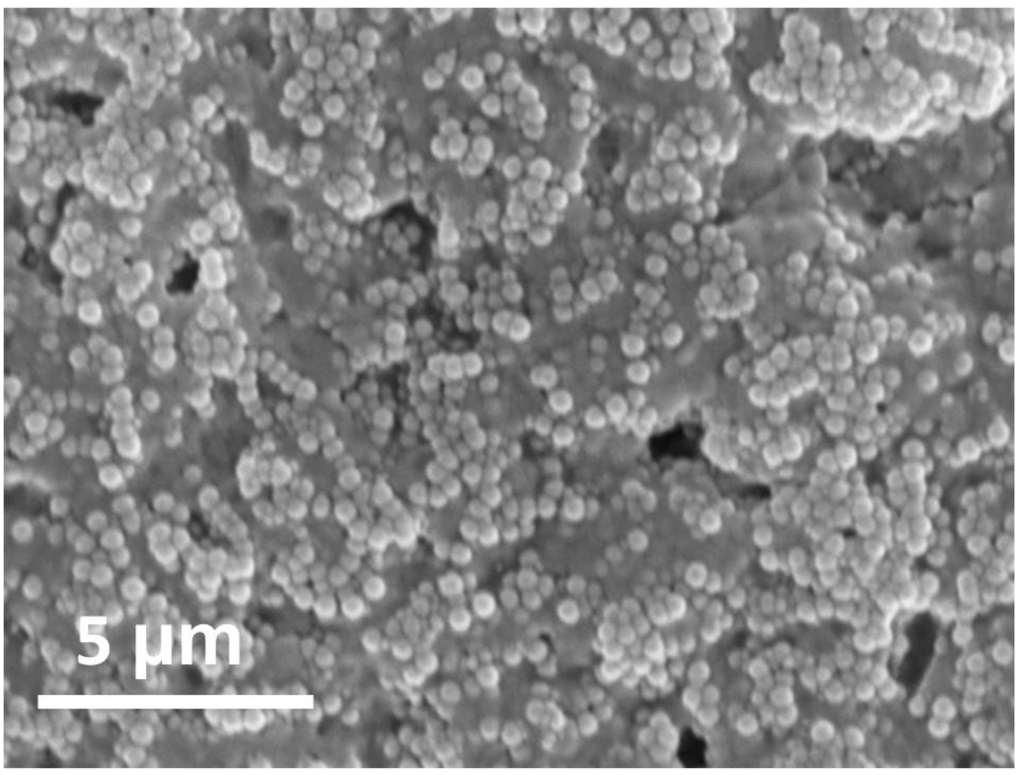 Sensors 15 25208 g019 1024