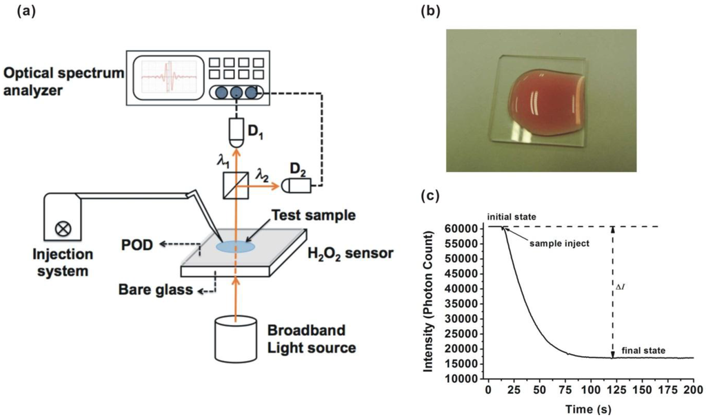 Sensors 15 25716 g001 1024