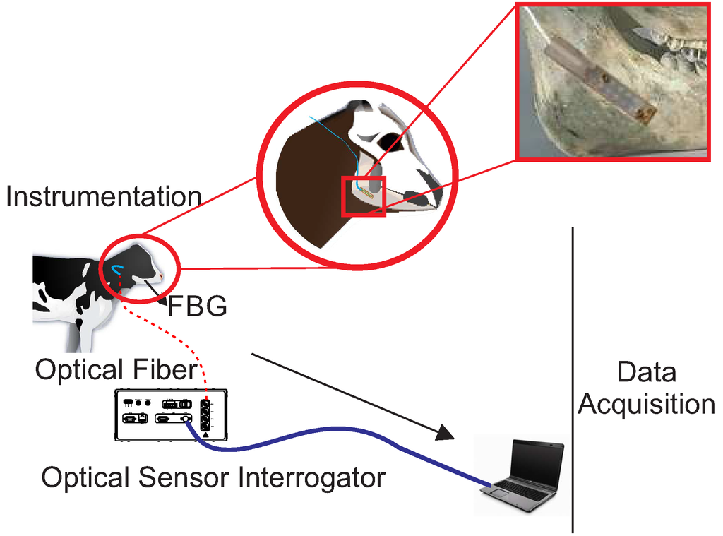 Sensors 15 28456 g001 1024